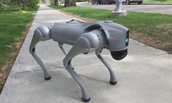 Nghề dắt chó robot đi dạo ở Mỹ