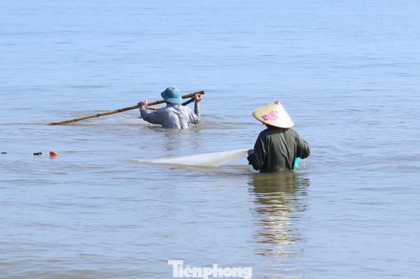 Nghề 'đi giật lùi' kiếm bộn tiền lúc sáng sớm