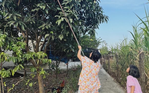 Nghỉ hưu sớm để được sống cuộc đời khác và được ở bên cha mẹ?