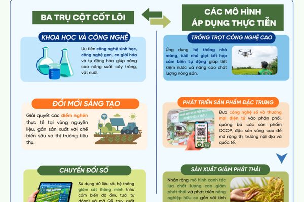 Nghị quyết 57-NQ/TW đột phá chuyển đổi: Công nghệ tái cấu trúc nông nghiệp