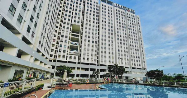 Nghịch lý nhà đất rẻ hơn căn hộ chung cư ở TP.HCM