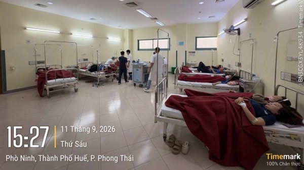 Ngộ độc tại Công ty Scavi Huế làm 222 công nhân nhập viện vì liên quan hai loại vi khuẩn