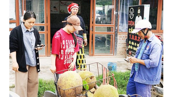 Ngoại lệ của tiền mặt
