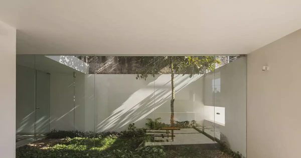 Ngôi nhà dài 37m kết hợp kinh doanh, sân vườn và không gian sống