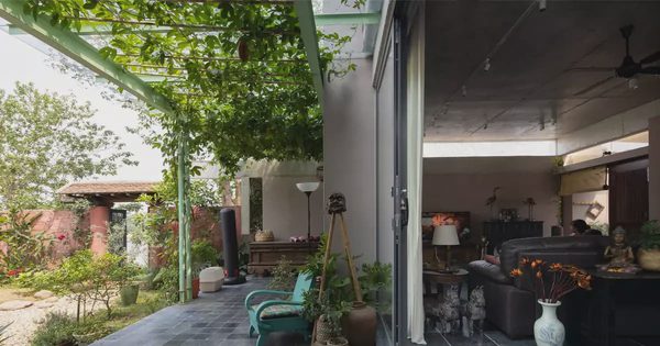 Ngôi nhà 'quay lưng' với phố, mở ra khu vườn bên sông