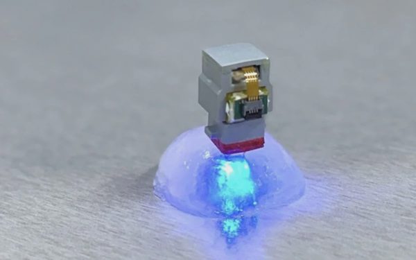 Ngồi ở Mỹ, điều khiển thiết bị cấy trong não chuột ở Hàn Quốc