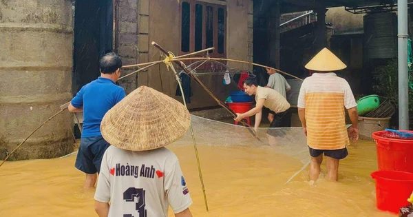 Ngon như cá nước lụt Lệ Thủy