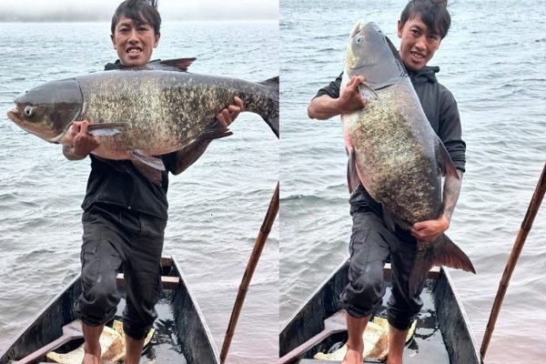 Ngư dân 30 tuổi có duyên bắt cá mè 'khủng' ở Biển Hồ