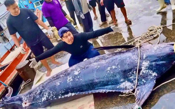 Ngư dân vùng Phú Yên bắt được cá cờ ‘khủng’ nặng gần 320kg