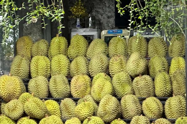 Người bệnh tiểu đường nên hạn chế 4 loại quả, thay bằng 4 loại khác
