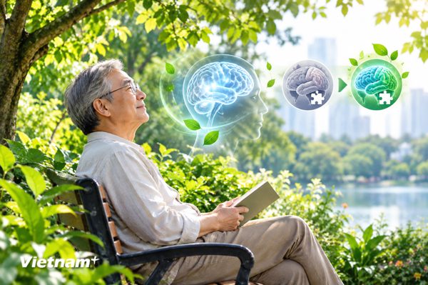 Người cao tuổi sống gần cây xanh có nguy cơ sa sút trí tuệ thấp hơn