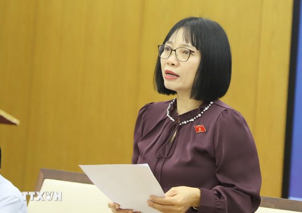 Người đại biểu dân cử bền bỉ đưa tiếng nói từ thực tiễn vào chính sách