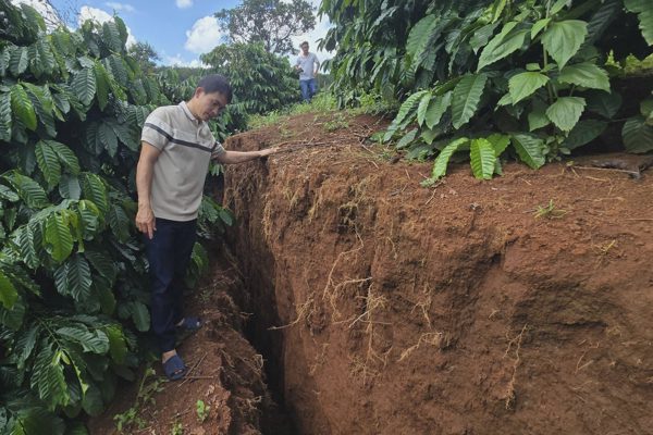 Người dân bất an vì rẫy nứt toác, sụt lún sâu gần 1,5m