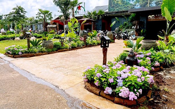 Người dân có được tự ý trồng cây xanh vỉa hè trước nhà, hàng quán?