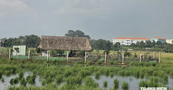 Người dân có thể mượn lối đi để làm thủ tục tách thửa đất