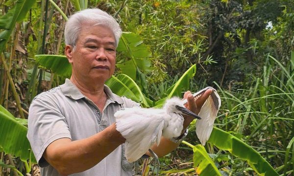 Người đàn ông hơn 30 năm giữ đất cho chim trời