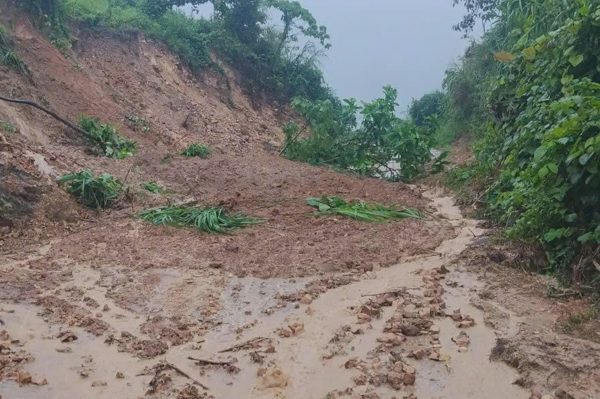 Người đàn ông mất liên lạc khi đi rừng