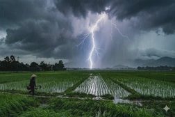 Người đàn ông ở Hà Nội bị sét đánh tử vong
