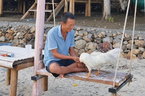Người đàn ông Quảng Ninh bán ô tô ra đảo ở, sống tự cung tự cấp