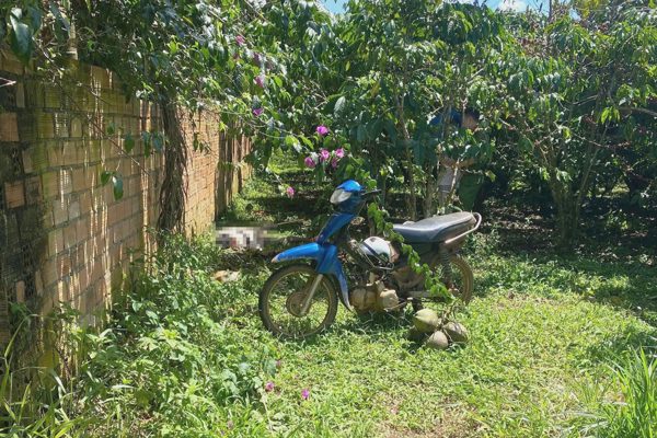 Người đàn ông tử vong trong vườn cà phê ở Lâm Đồng