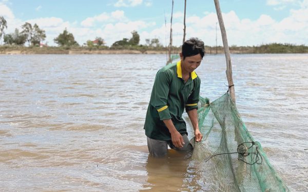 Người dân phấn khởi đón mùa nước nổi về vùng đầu nguồn tỉnh Đồng Tháp