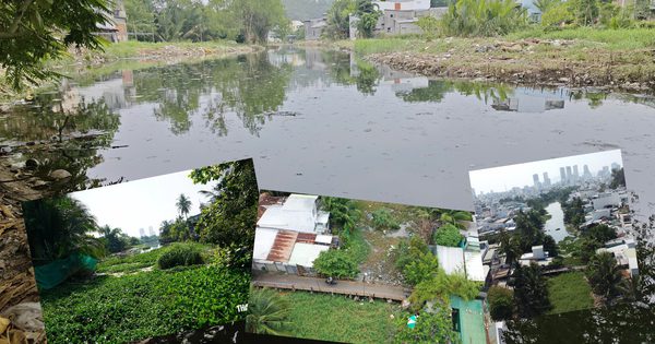 Người dân Tây Nha Trang bất ngờ khi những dòng sông 'bèo' được khơi thông