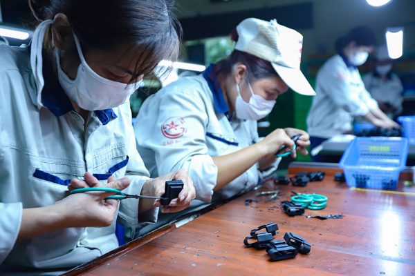 Người đi, tri thức ở lại
