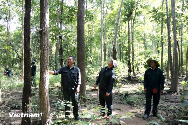Người trưởng thôn giữ rừng bằng uy tín và trách nhiệm
