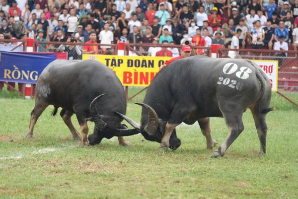 Nguồn lực phát triển du lịch bền vững