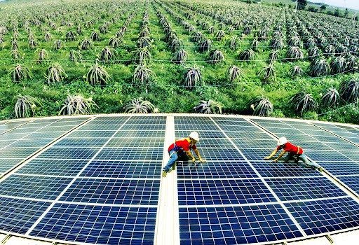 Nguồn tiết kiệm ‘vô hình’ và chuyện đầu tư sinh lời của doanh nghiệp