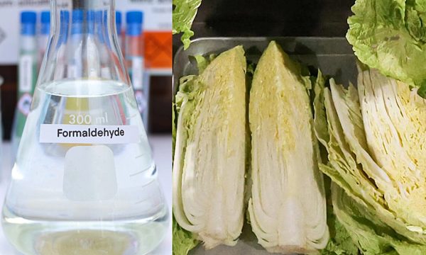 Nguy cơ sức khỏe khi ăn phải thực phẩm ngâm formaldehyde
