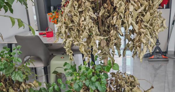 Nhà chật đừng vội trách thiếu mét vuông: VỨT 4 thứ vô dụng này đi, không gian rộng ra trông thấy