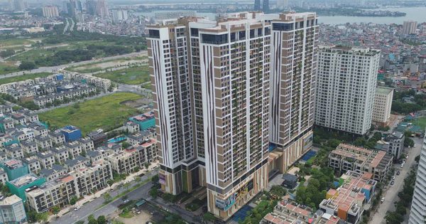 'Nhà đầu tư mua căn hộ Hà Nội từ quý II/2025 muốn bán thời điểm này gần như phải cắt lỗ'