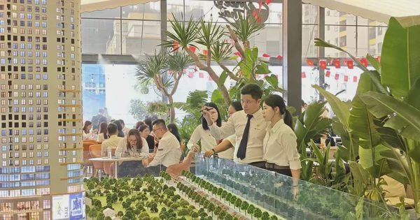 Nhà đầu tư vàng, chứng khoán đi 'tàu lượn', vì sao bất động sản hút dòng tiền?