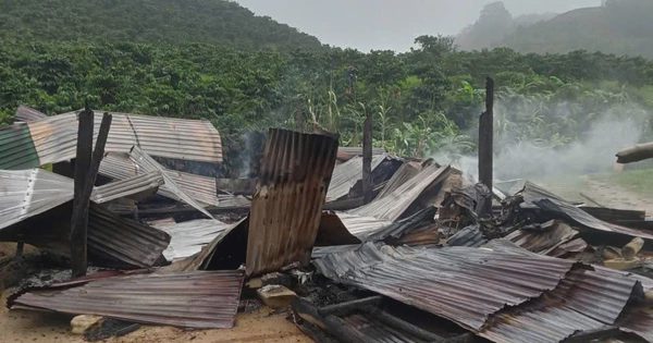Nhà gỗ biệt lập giữa rừng cháy rụi, 3 mẹ con tử vong