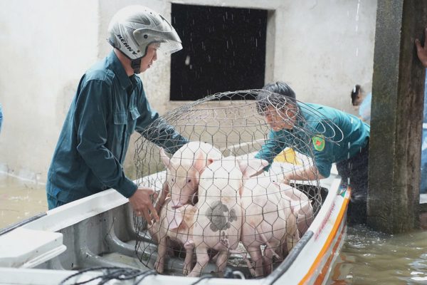 Nhà ngập sâu, người dân hối hả di dời tài sản