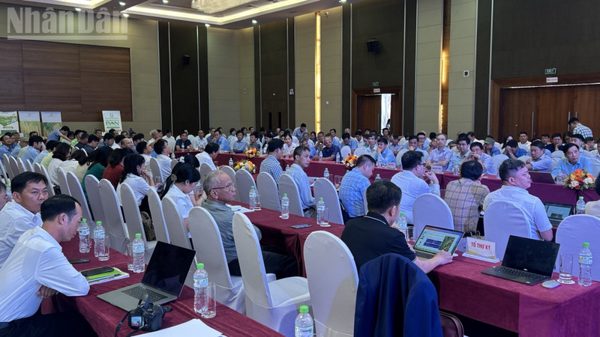 Nhân rộng mô hình canh tác lúa phát thải thấp