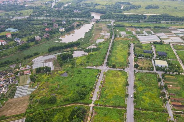 Nhận thừa kế bất động sản, bao lâu phải nộp tờ khai thuế?
