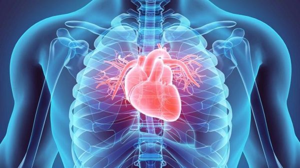 Nhật Bản: Ca phẫu thuật đầu tiên trên thế giới dùng tế bào gốc cơ tim