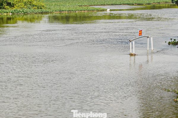 Nhiều cầu dân sinh chìm nghỉm giữa lòng sông sau lũ ngập