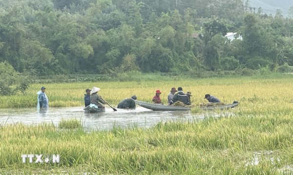 Nhiều khu dân cư ở Đắk Lắk ngập sâu do mưa lớn