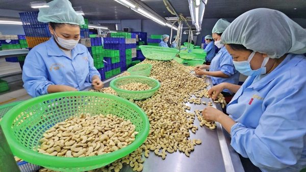 Nhiều thị trường thay đổi quy định nhập khẩu nông sản, thực phẩm