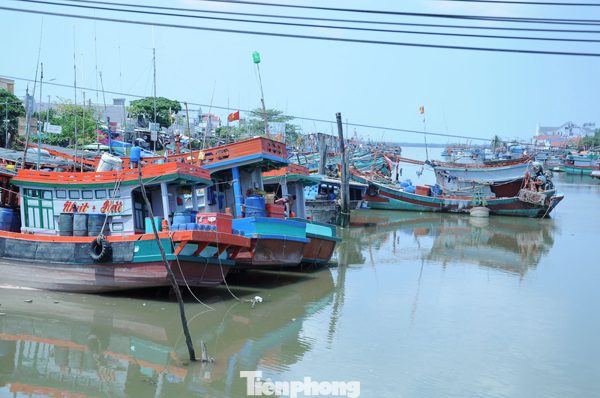 Nhiều thiếu sót về chống khai thác thủy sản bất hợp pháp tại Vĩnh Long