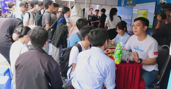 Nhiều vị trí việc làm với mức lương hàng chục triệu đồng đang chờ sinh viên