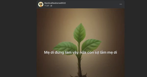 Nhóm 'con ghét bố mẹ' tăng vọt thành viên: Điều gì đang xảy ra?