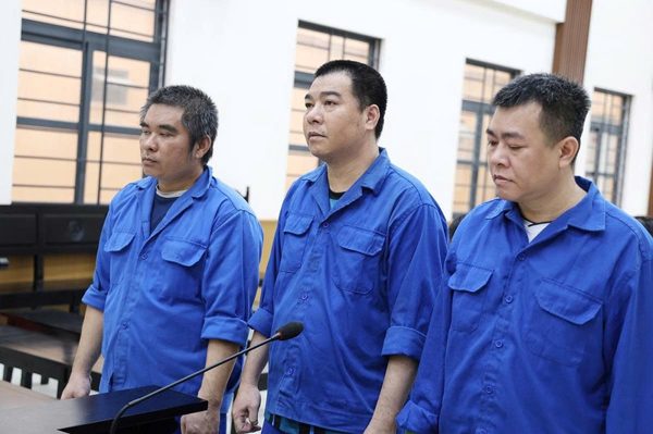 Nhóm đối tượng cướp gần 55 tấn cá tra lãnh 34 năm tù