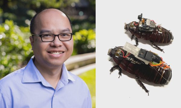 Nhóm nhà khoa học Việt biến gián thành 'cyborg' cứu hộ
