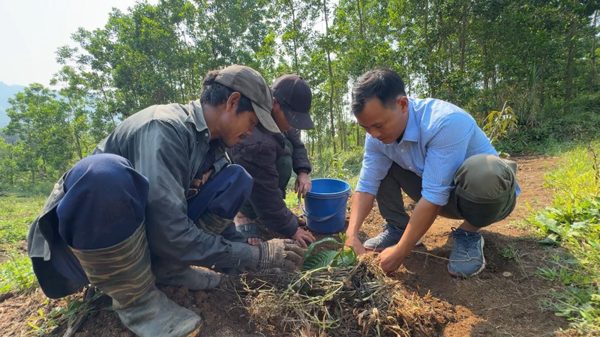 Những chuyển động từ cơ sở