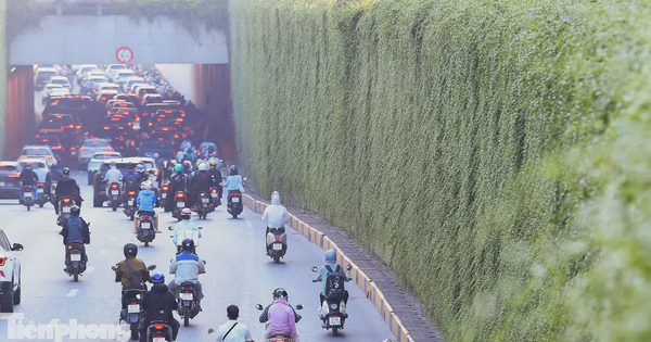 Những hầm chui Hà Nội trước ngày phủ xanh