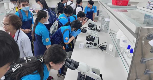 Những ngành trọng điểm mà TP.HCM có kế hoạch hướng nghiệp học sinh đến năm 2027